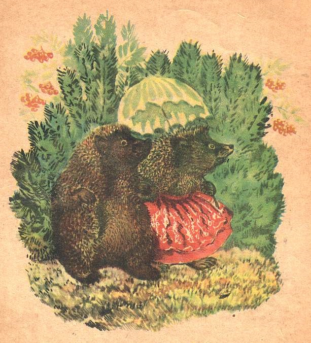 Шутки.
Чарушин Евгений Иванович.
 М.: Детгиз, 1956