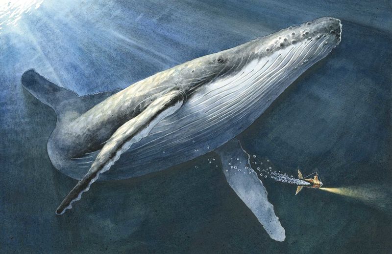 Торбен Кульманн. Эдисон. Тайна пропавшего сокровища. Художник Торбен Кульманн. Издательство Поляндрия, 2018 г.